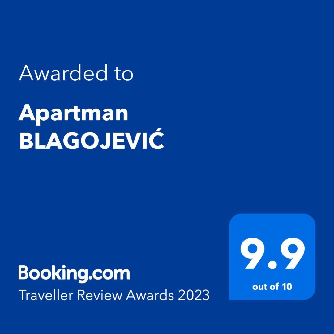 Apartman Blagojevic Banja Koviljača 外观 照片